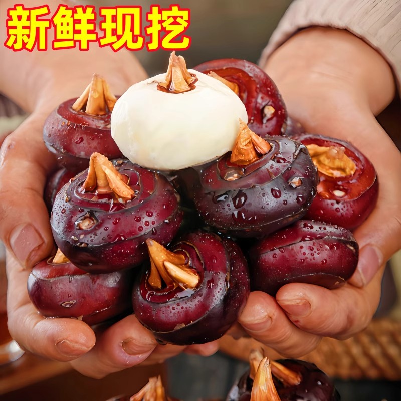 新鲜荸荠马蹄：冬季必备的甜蜜炸弹，一口咬下全是幸福