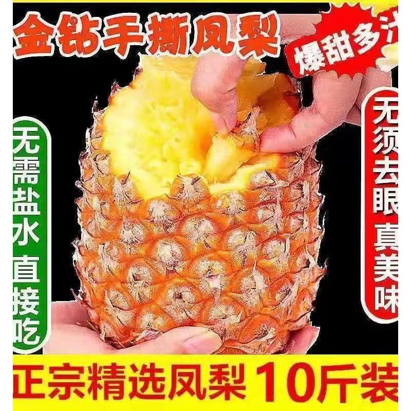 正宗海南金钻凤梨，10斤新鲜水果，手撕即食，当季香水菠萝台农17号