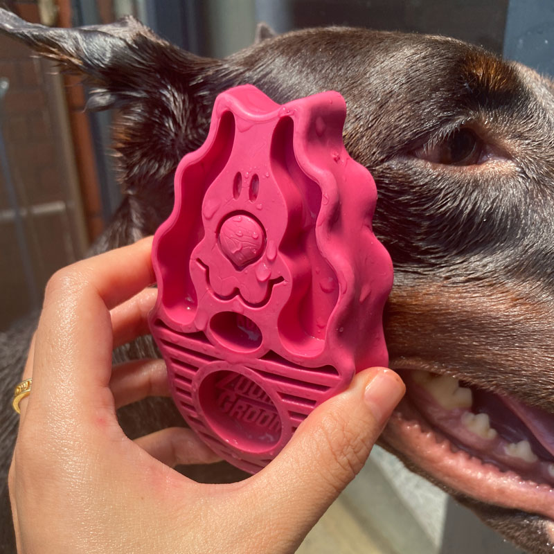 KONG ZOOM GROOM 洗澡按摩梳子：宠物猫狗的毛发护理神器，告别浮毛烦恼！