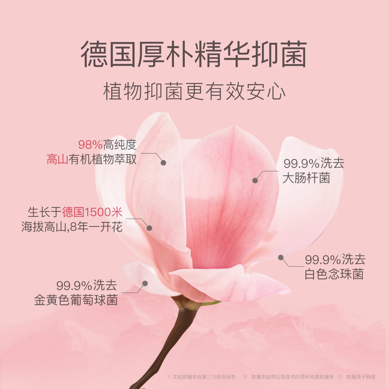 贝德美儿童内衣裤洗衣液：宝宝肌肤的温柔守护者✨
