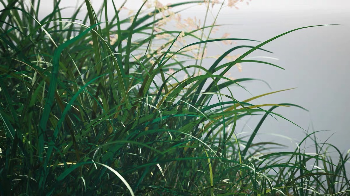 39pcs War World Scenics Static Grass: 玩转模型战场，静谧绿意的秘密武器