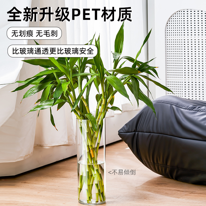 亚克力水养富贵竹：客厅里的绿意精灵，透明直筒塑料醒花桶，点亮家居生活✨