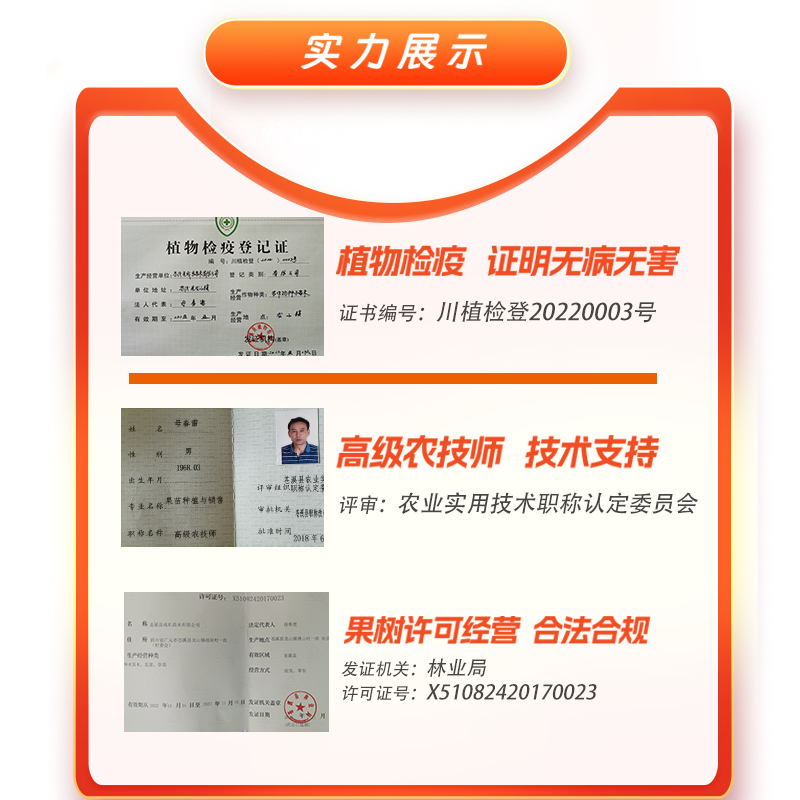 四川小叶桢楠，金丝楠木新中式家具，让你的家瞬间高大上！✨