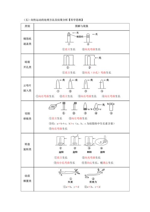 D光计划,引领未来照明科技的创新之路