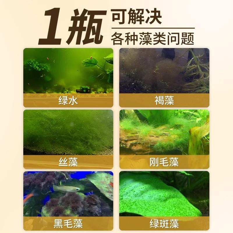 鱼缸除藻剂：绿藻褐藻克星，清水净苔神器，打造完美水族世界！