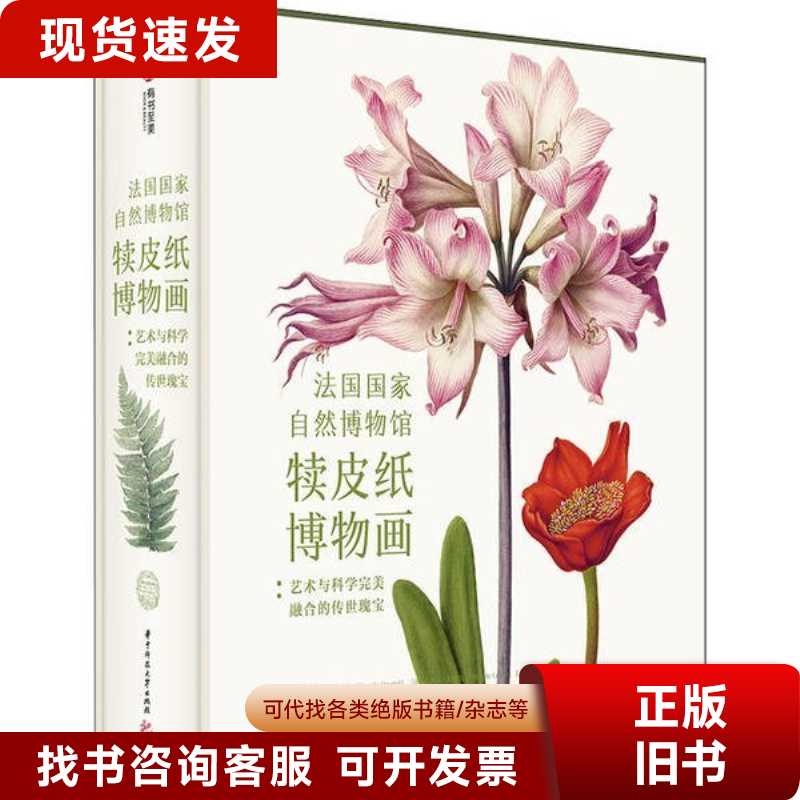 复古陶瓷花瓶：点亮你的客厅，艺术与自然的完美融合