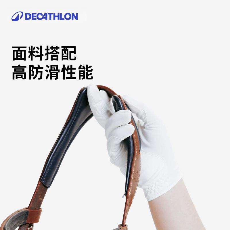 马术运动必备神器：马房用品大揭秘，打造专业马房不再是梦！