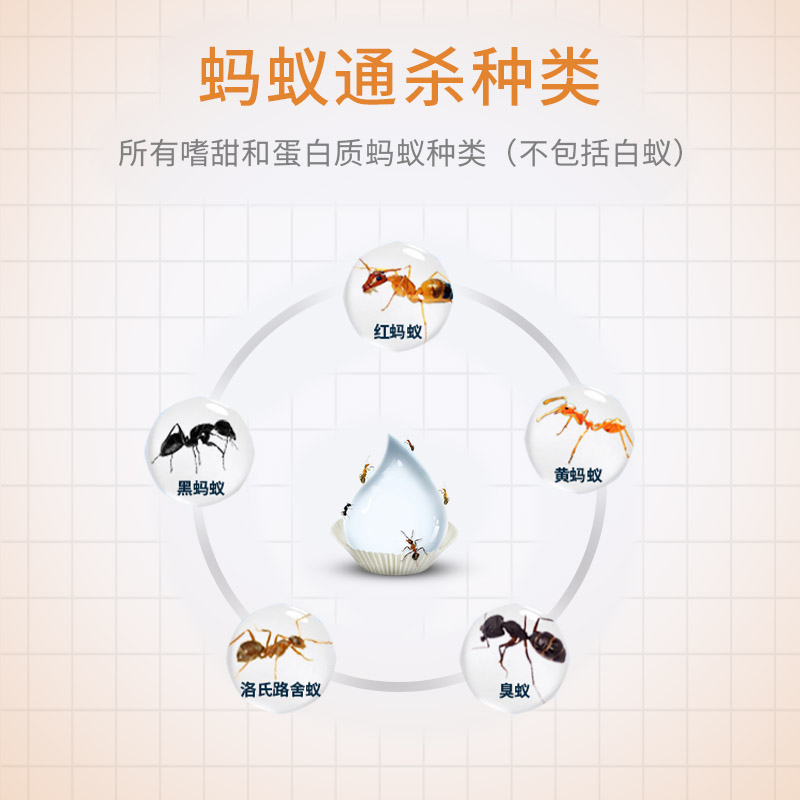 拜灭士蚂蚁药：小黑红黄蚂蚁克星，全窝端掉不是梦！