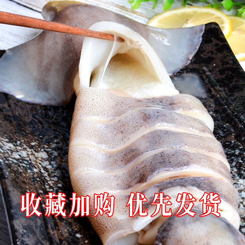 大鱿鱼十斤包邮，鲜活冷冻鲜尤鱼，烧烤必备！