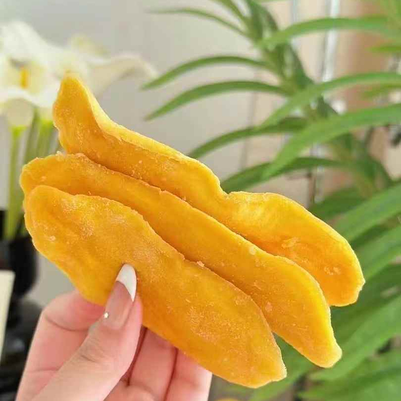 南亚姑娘广西果干：甜蜜暴击，南宁特产果脯大揭秘！✨