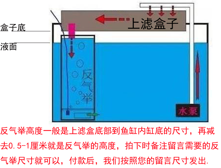 鱼缸过滤材料大揭秘：生化球、培菌球，如何打造完美水族箱生态环境？