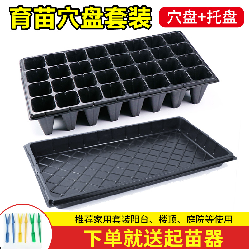 育苗穴盘：全能育苗神器，种出绿色希望！