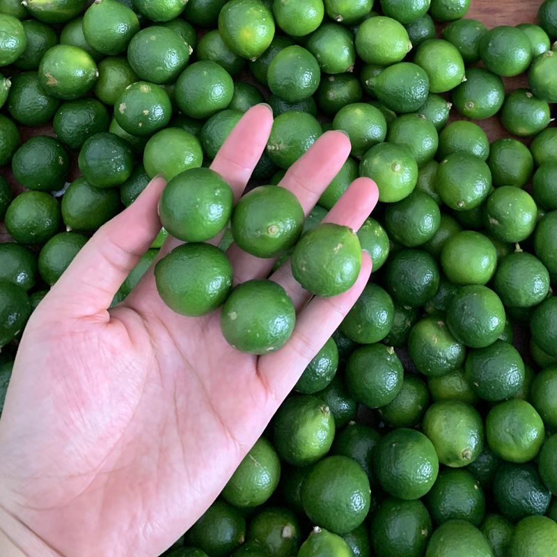四季椰林原味椰子鸡600g：如何在家轻松享受海南风情美食？