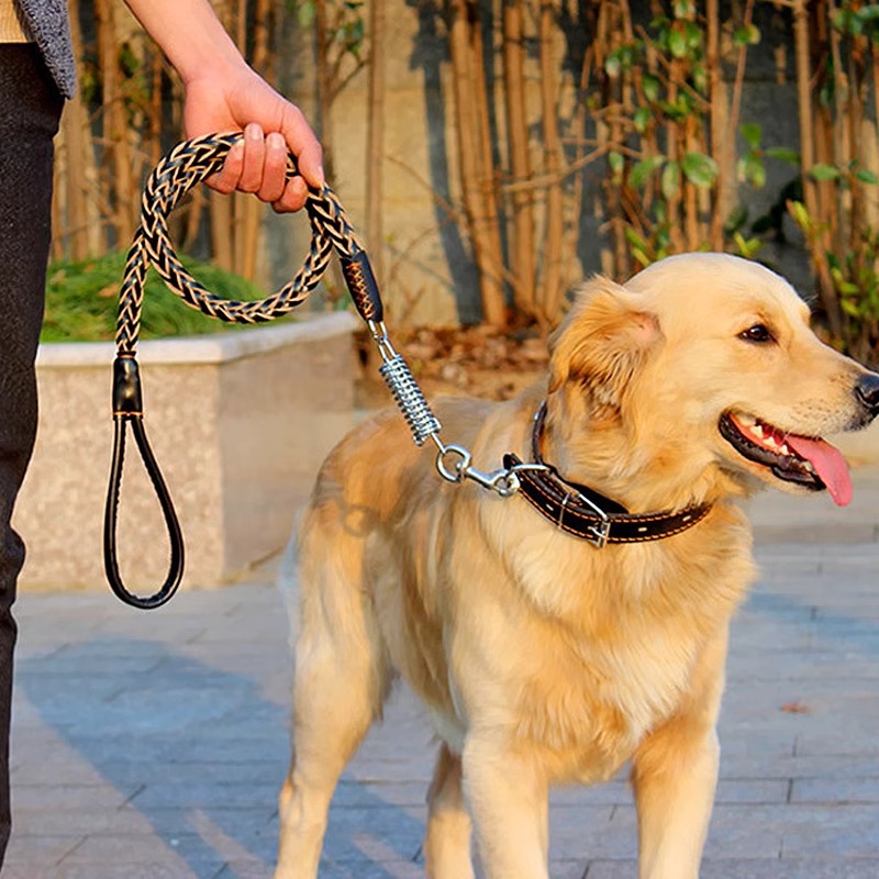 真牛皮狗牵引绳：遛大型犬的秘密武器，金毛德牧藏獒的最佳拍档！