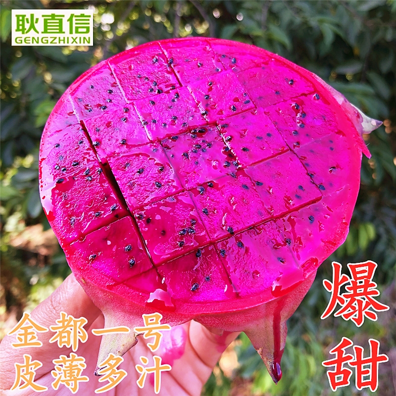 顺丰包邮 | 海南三亚新鲜金都一号红心火龙果，现摘净果5斤装，甜到心坎里！