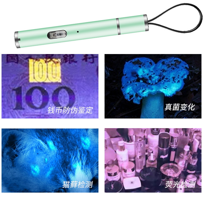 迦持医用瞳孔笔灯：医生护士必备神器，便携小手电筒如何点亮专业检查新高度？