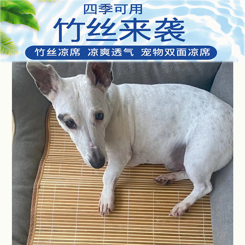韩国狗狗外出神器：中控车载狗窝，泰迪宠物的安全天堂！