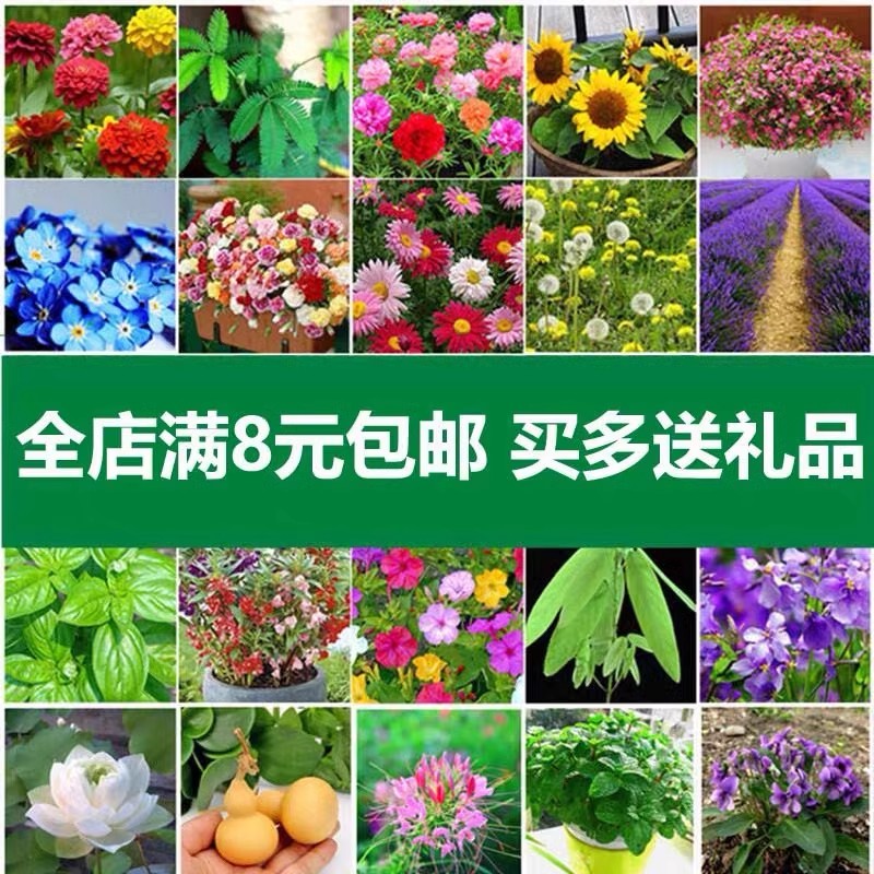 揭秘柯力传感雪球：智能称重的未来之星
