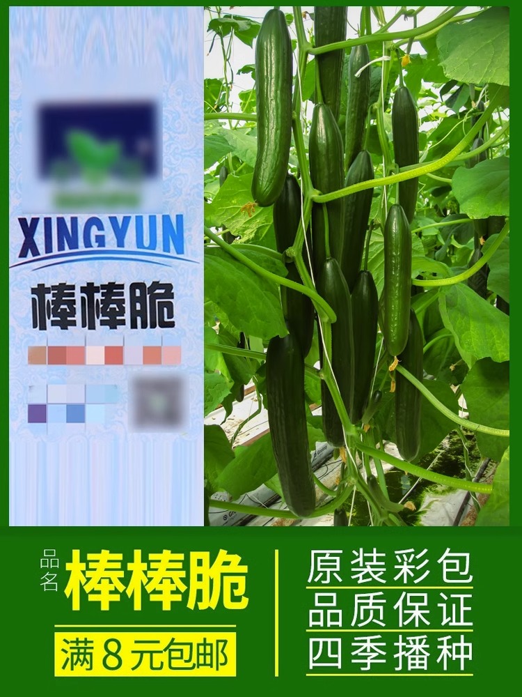 北瓜和西葫芦有什么区别？小白必看，绝绝子的蔬菜知识科普！