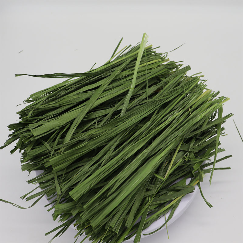 2025年新草：提摩草箱装北提兔子龙猫荷兰猪粮食饲料，宠物美食盛宴！