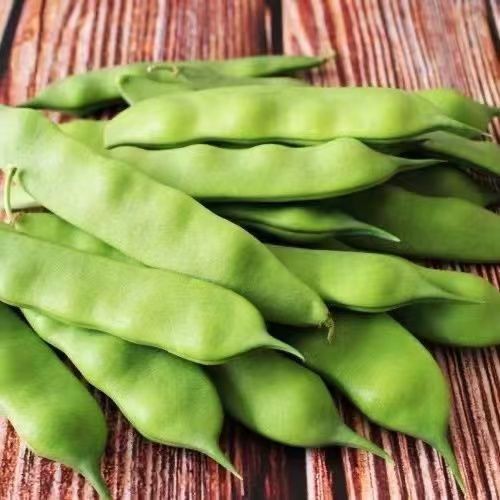 九月青油豆角太绝了！东北农家自种现摘，开锅烂好吃到停不下来