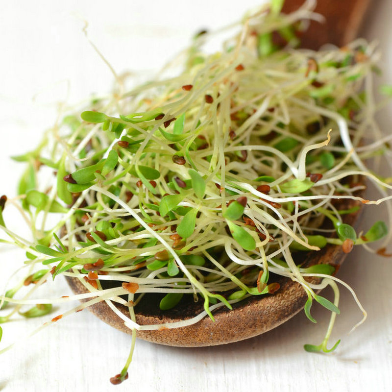 植物基轻蟹饼：Beyond Meat引领素食新潮流，吃货们准备好了吗？