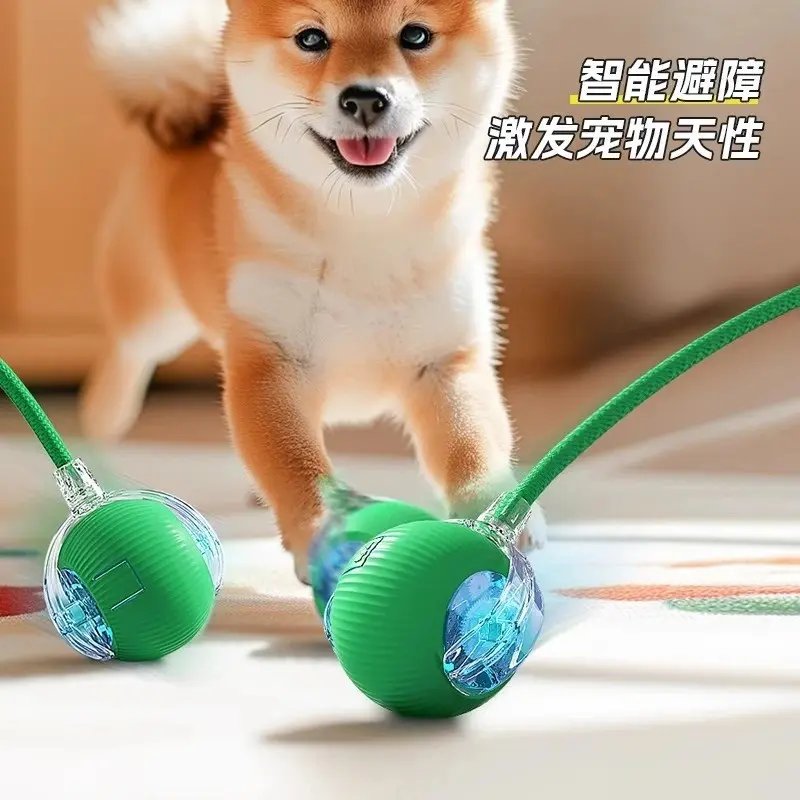 自动遛狗球：宠物自嗨神器，解放主人双手的遛狗新方式！