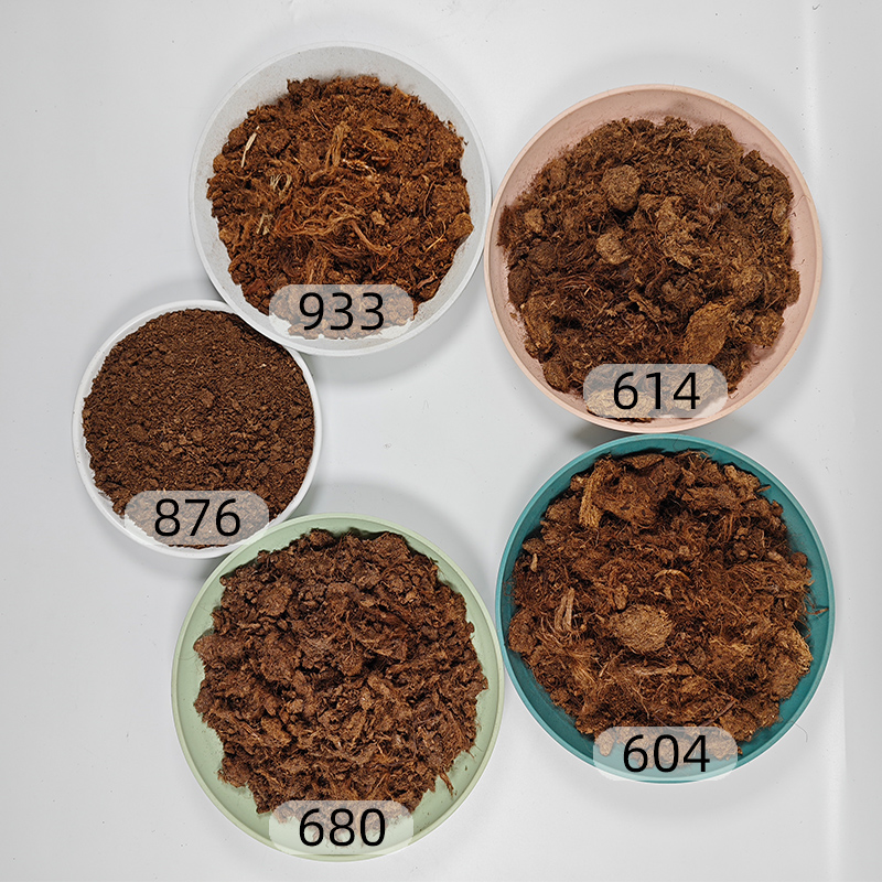德国进口大汉泥炭土K牌：多肉植物的终极土壤解决方案，养活你的&ldquo;肉肉&rdquo;不是梦！