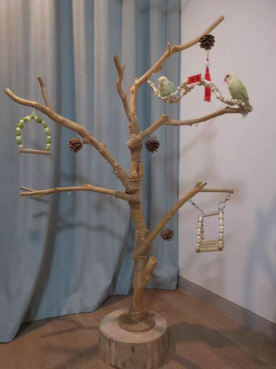 鹦鹉秋千站架：解锁宠物小鸟新玩法，让你的小鸟成为桌面上的明星！