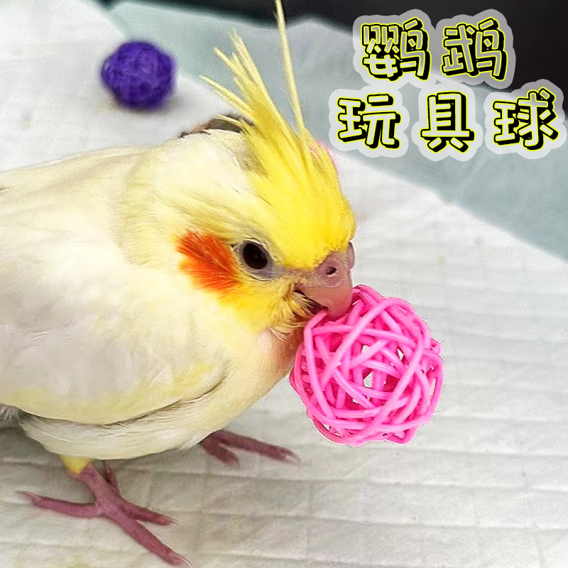 3CM天然藤编球：给鹦鹉的自然系玩具，宠物爱好者的DIY新宠！