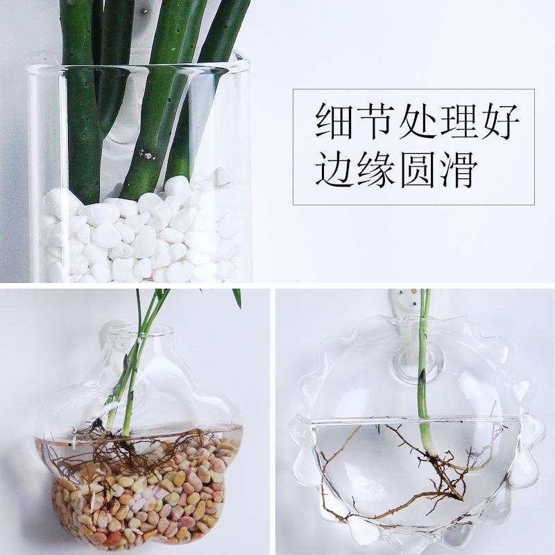 大号透明玻璃花瓶：让恐龙蛋绿萝成为你的室内绿洲！
