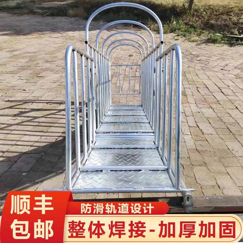 猪笼子大揭秘：从称重到上车，养猪人的必备神器！