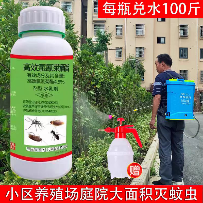 宠阿毛崇可净100片/瓶：宠物健康的守护神，你家毛孩子必备神器！