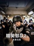 精英部队2大敌当前