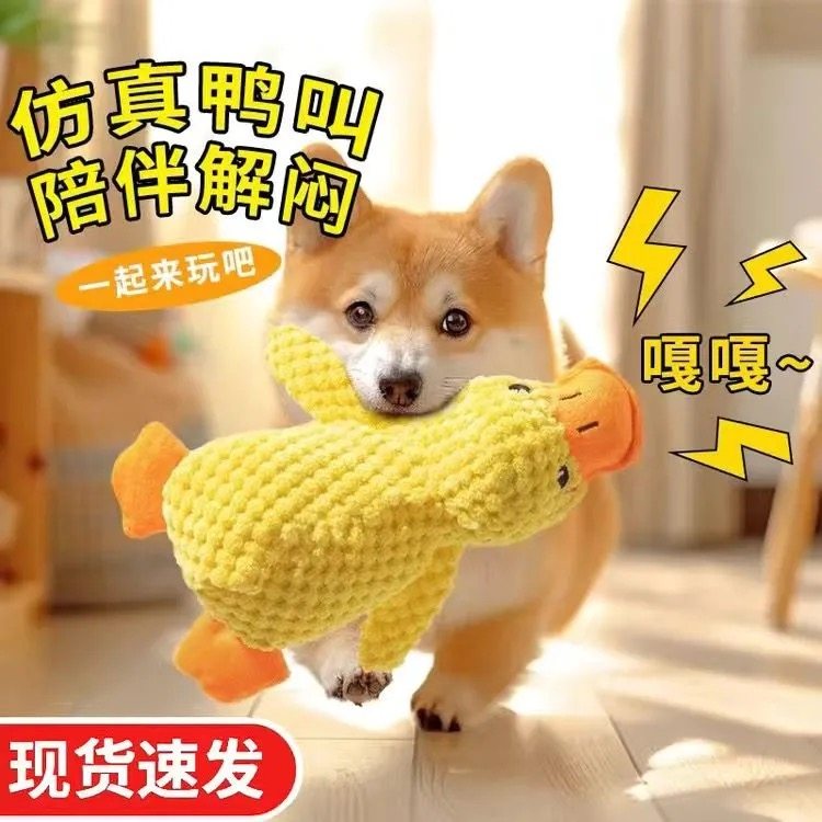哪种狗狗磨牙发声毛绒玩偶适合2026年的宠物狗？