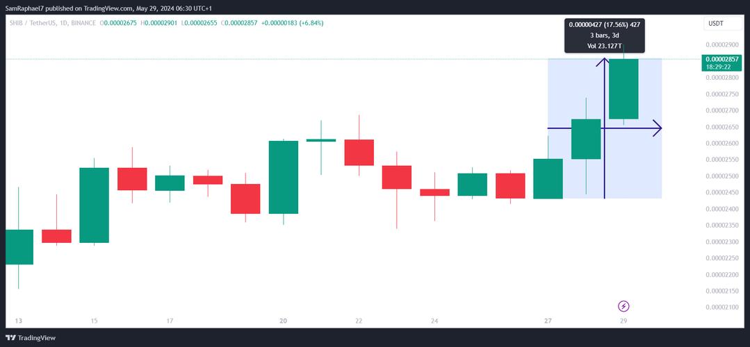 Understanding Shiba Inu and USDT