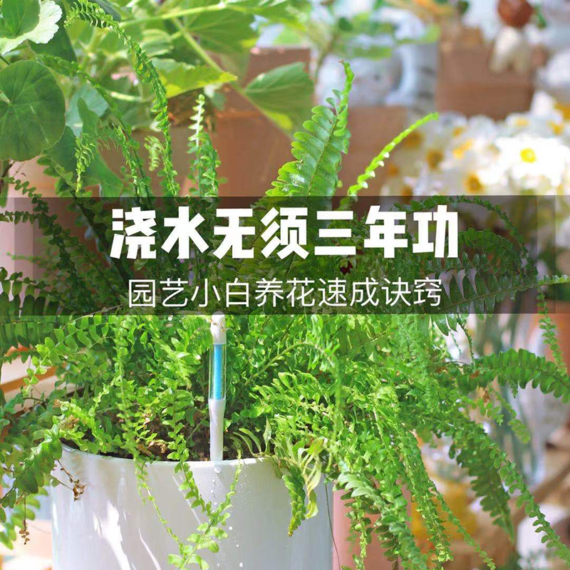 植物土壤水分计：告别浇水焦虑，轻松养活你的绿色小伙伴