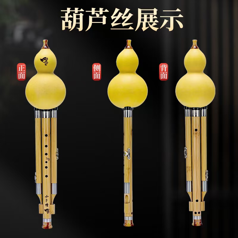梅妃竹葫芦丝：初学者的音乐梦想启航，C调B调任你选！