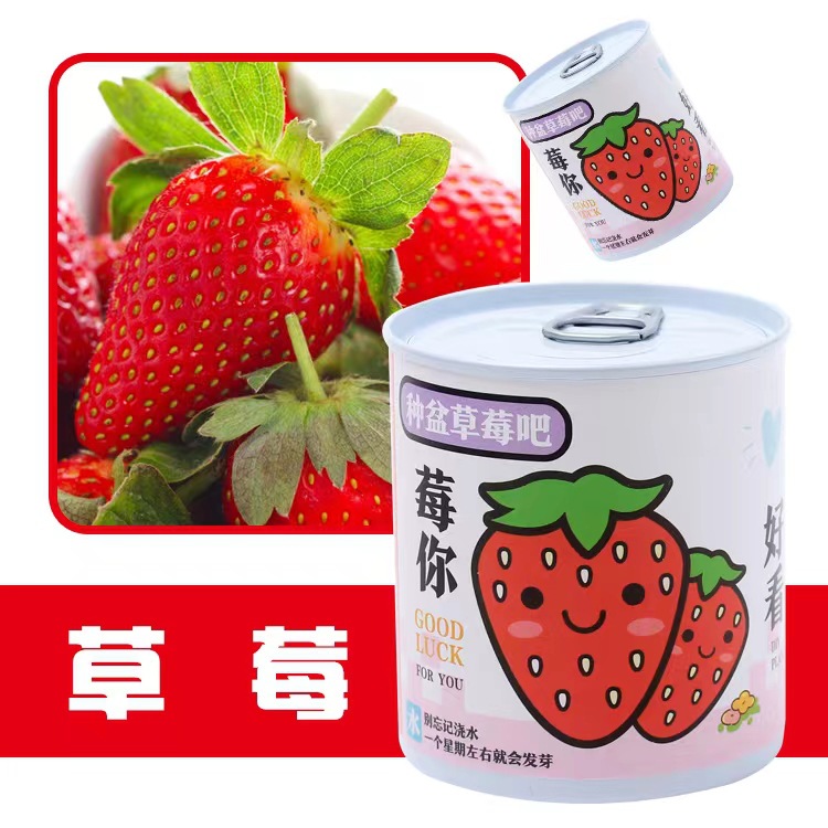 INA健康管理仪真香预警！这台“木兰锦”让我气血满满，美到发光✨