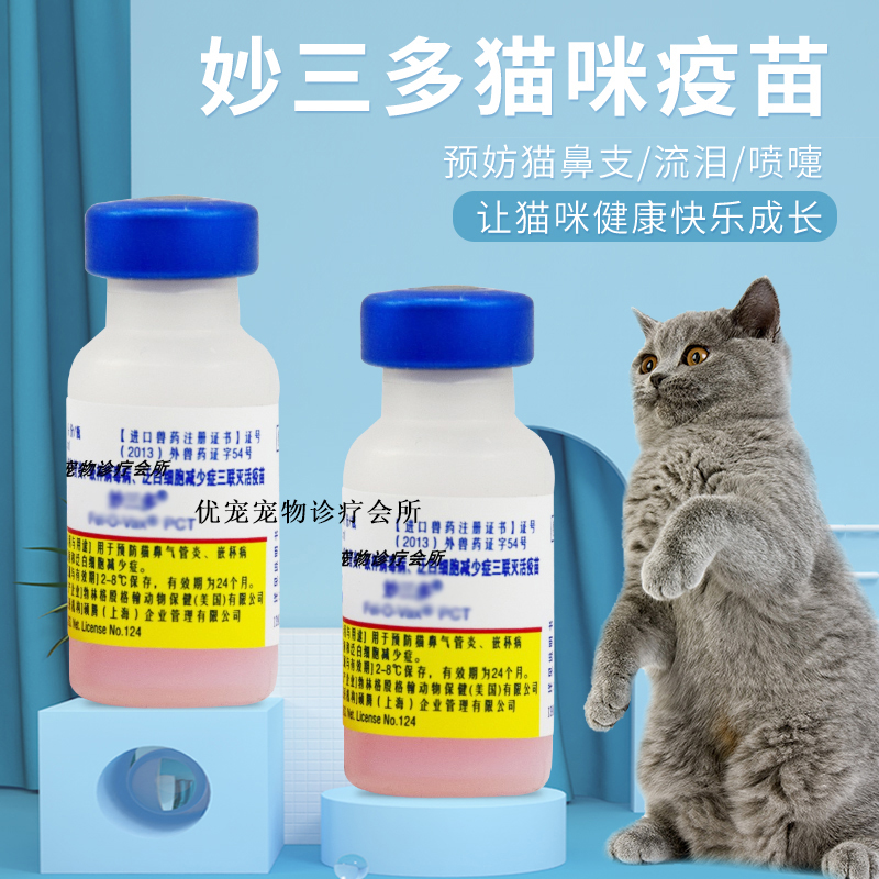 PUMA标志背后的神秘动物：你知道它为什么不是猫科吗？