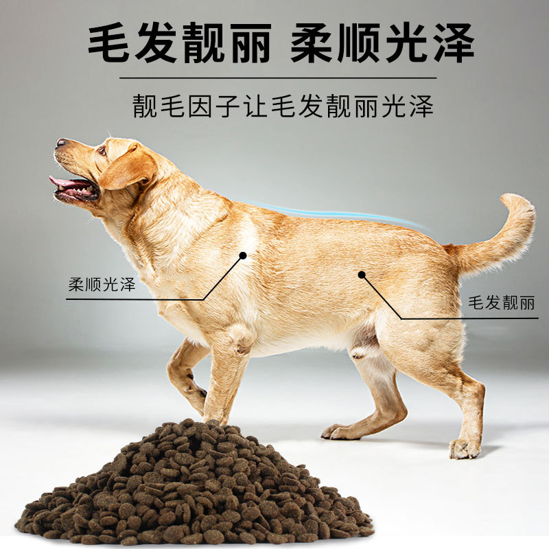红狐冻干鸡肉双拼低脂狗粮！肥胖老年犬必备！营养均衡太香了！