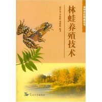 丽枫酒店一晚价格是多少？如何选择性价比高的房型？