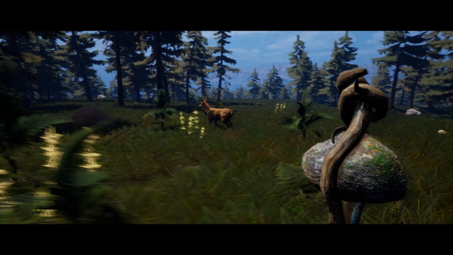 恐惧之森免安装绿色中文版[官方中文]13