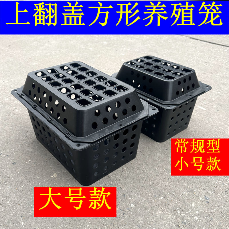 立体水产养殖笼：解锁海鲜养殖新境界，轻松养出美味龙虾与螃蟹！