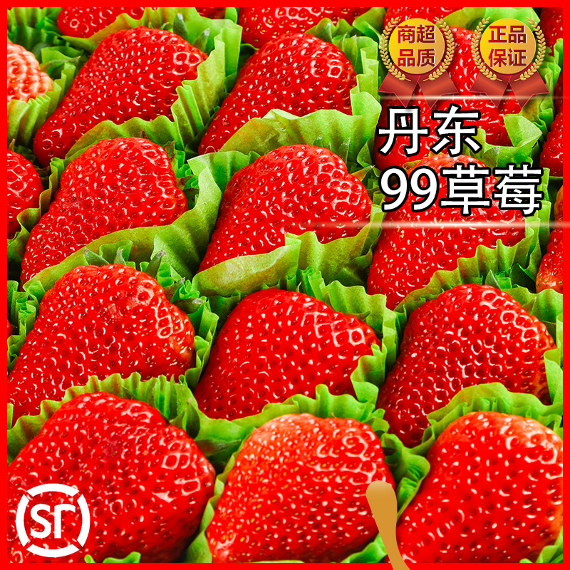 正宗丹东99草莓：空运直达的甜蜜诱惑，让你尝鲜不停歇！