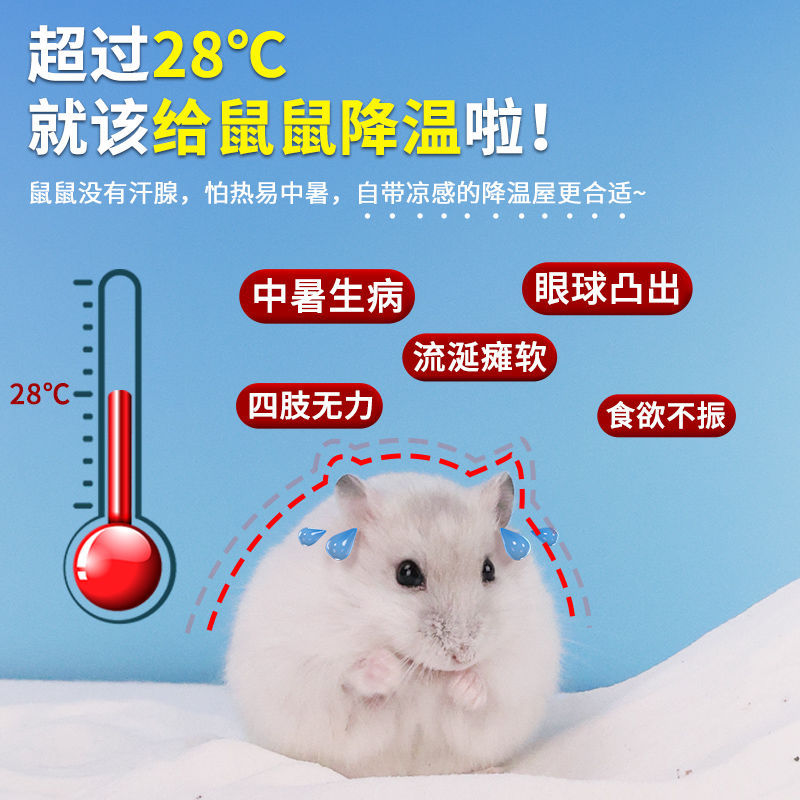 仓鼠降温冰屋夏季避暑神器，金丝熊的夏日小房子，你家萌宠有吗？