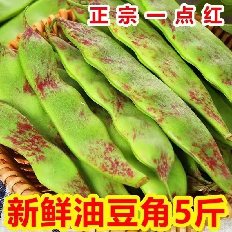 顺丰直达！东北特产油豆角，九月青面扁豆角，尝鲜必备的新鲜农产品！