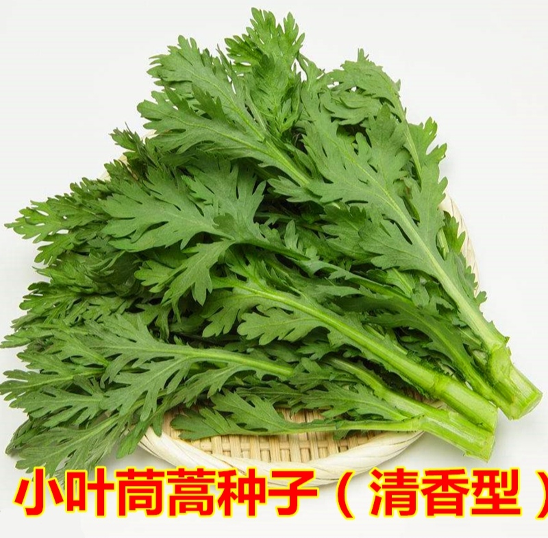 痘痘大战后的终极胜利：男生祛痘印必看秘籍!
