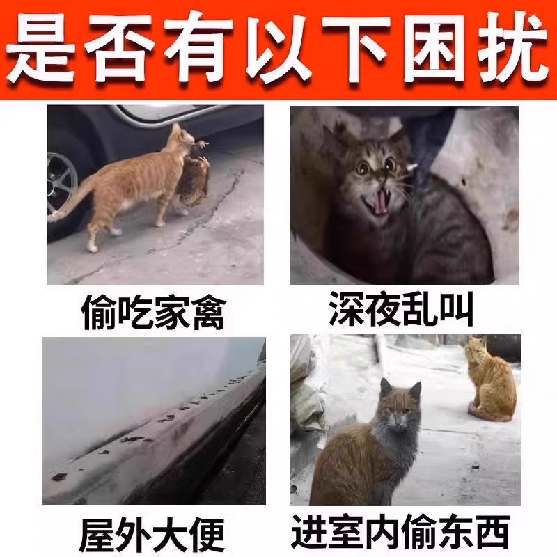 云雀汽车7071发动机大修包真香！省心又省钱，老车也能焕新颜