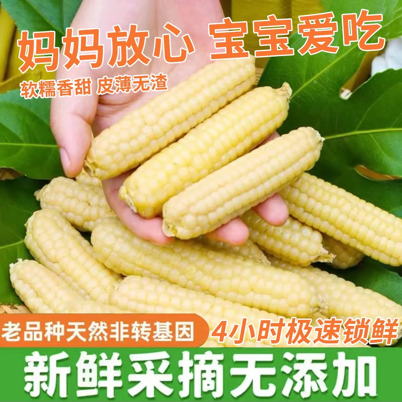 云南西双版纳拇指小玉米：甜蜜早餐新宠，一口一个的美味享受！